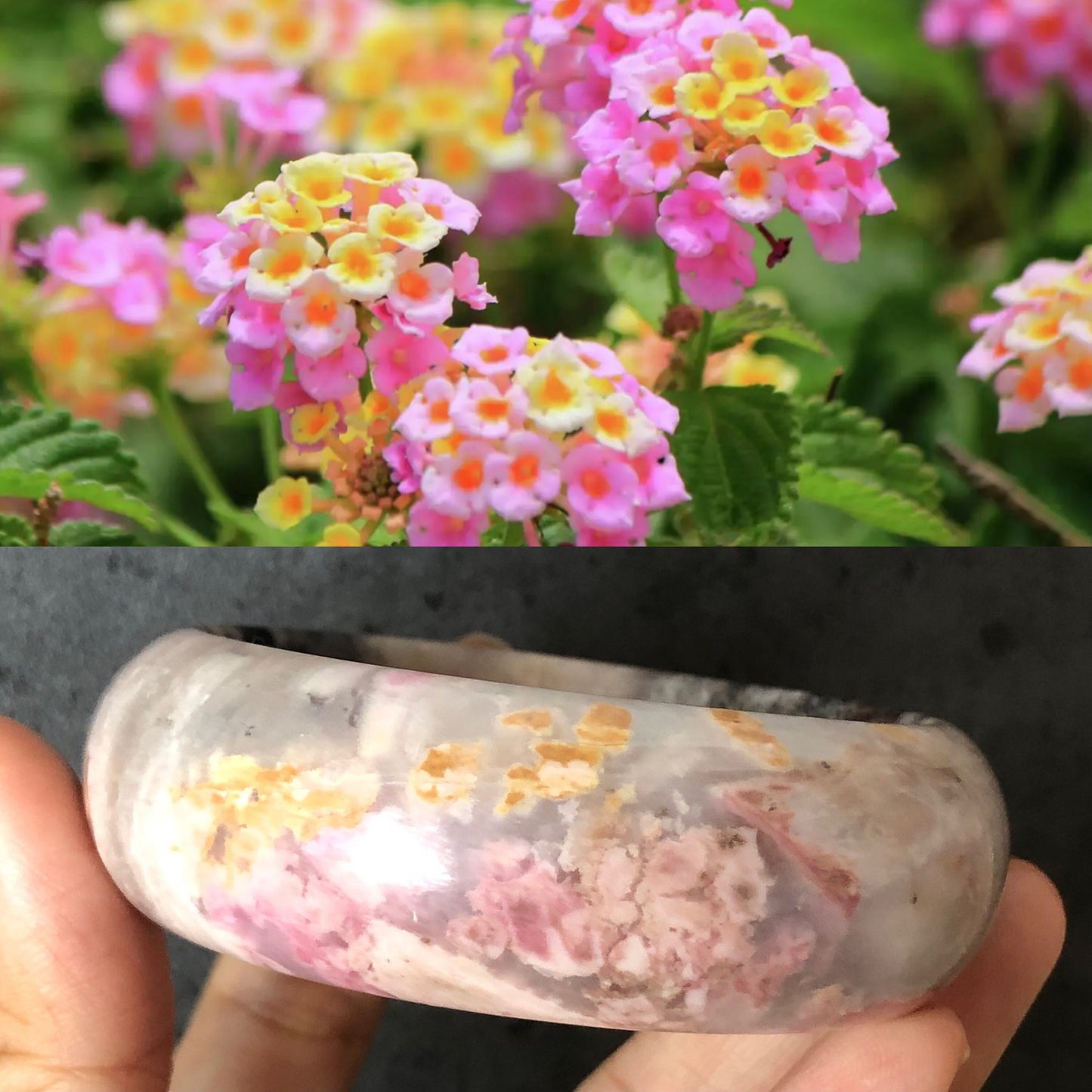 58.4mm Natural Rhodonite Bangle|Danqing Flowers | Pink and Gold Flowers | Icy and Translucent | Stone Bangle | Crystal Bangle
