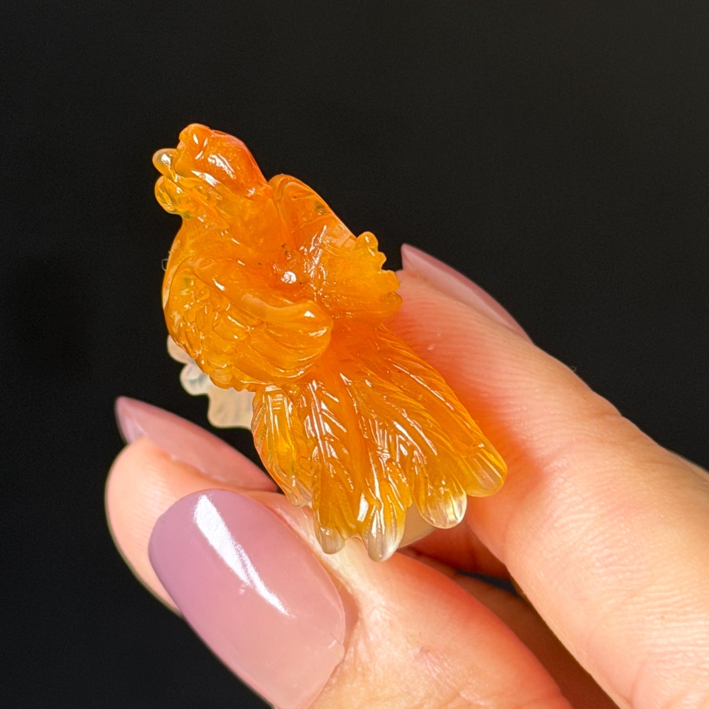Xiu Jade Serpentine Hand Carved 3D Fire Phoenix & Peony Ring 16.9mm (US 6.25): Natural Multi-colour Orange White Red Jade Statement Ring Band Ring gift for her red jade carving orange jade white jade multicolour jade phoenix carving animals carving hand engraved statement ring flower carving hand carved flower natural untreated jade handcrafted jade ring 3D carving Stone carving Gemstone Carving phoenix Lover gift Parrot Lover Gift jade cocktail ring jade band ring peony carving