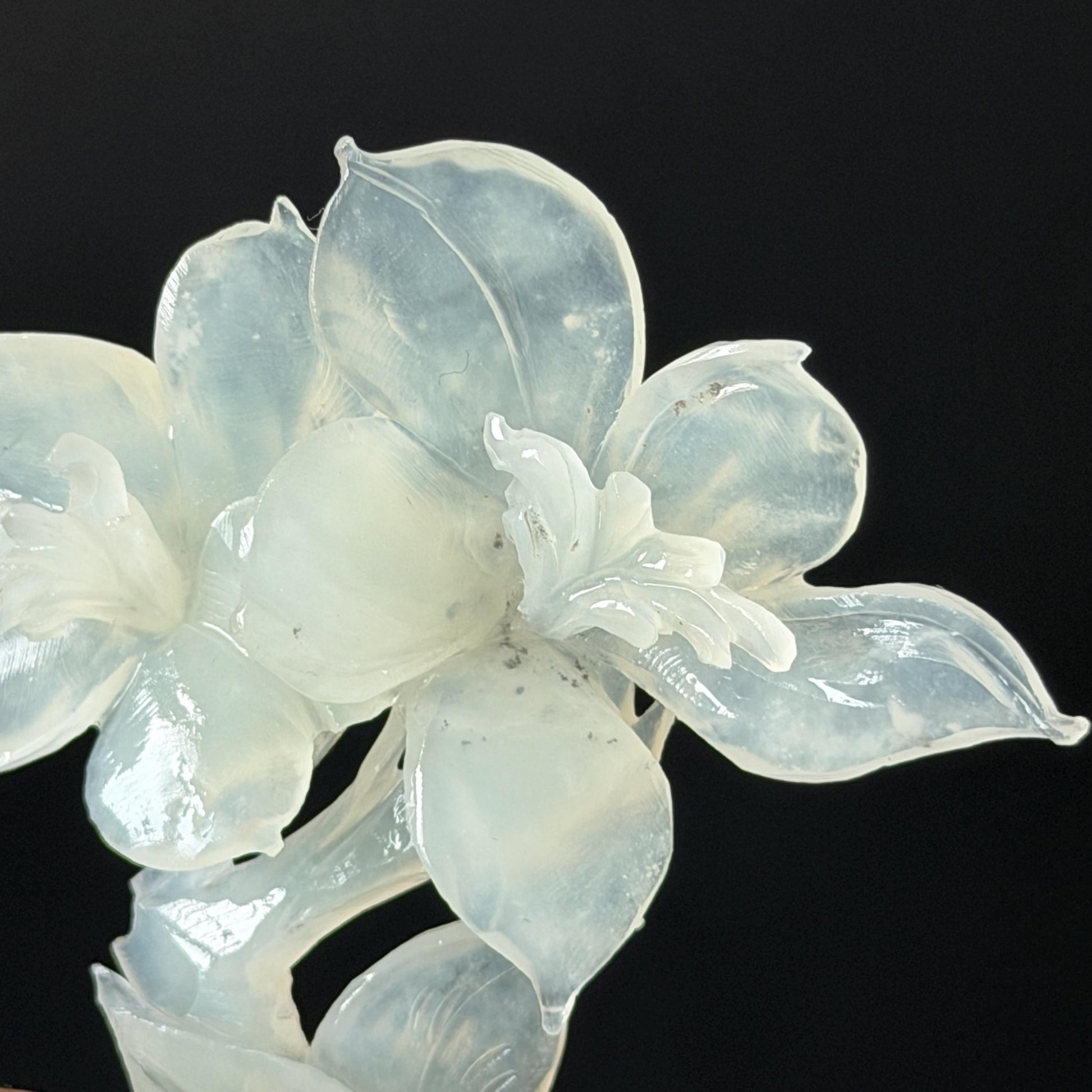 Xiu Jade Serpentine Hand Carved Iris Flower Hair Pin: Natural WHite Jade Handcrafted Crescent Moon Hair Stick 3D Stone Carving Hair Jewelry Bridal Wedding Headpiece gift for her japanese hairpin korean hair stick chinese hair fork vintage hair comb antique hair pins hanfu hair stick bridal shower hair jewelry bridal shower gift engagement hair accessory jade carving hand engraved jade hand carved flower jade hairpins untreated natural jade with certificate handcraft jade moon hairpin