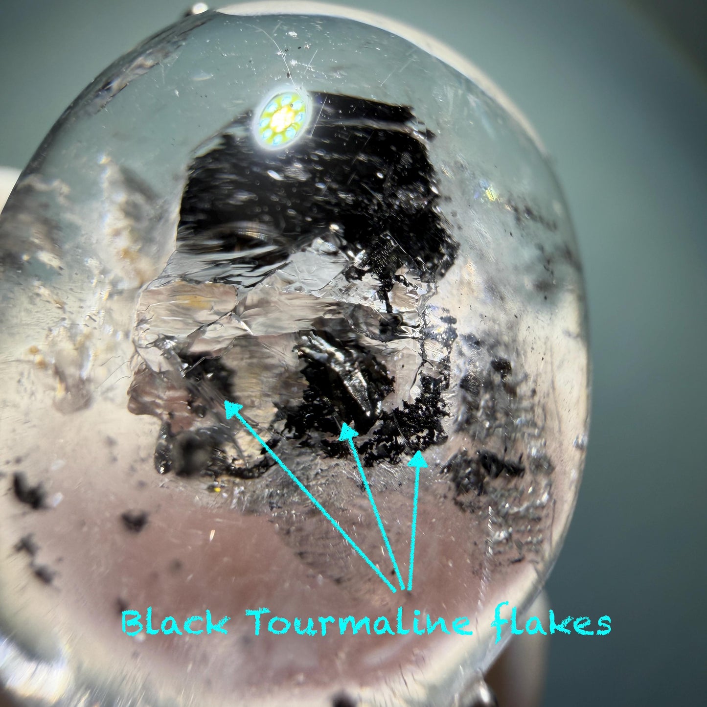 Enhydro Quartz (Herkimer Diamond) S925 Silver Adjustable Ring: Rare Moving Black Tourmaline flakes Inclusion Polished Crystal men Statement Ring for Women ring crystal band ring crystal cocktail ring crystal stackable ring 7 chakra crystal ring meditation crystal healing stone birthstone silver ring ring for men rainbow quartz minerals specimen inclusion quartz tourmaline inclusion quick sand inclusion water inclusion cocktail ring stackable ring enhydro crystal ring untreated crystal