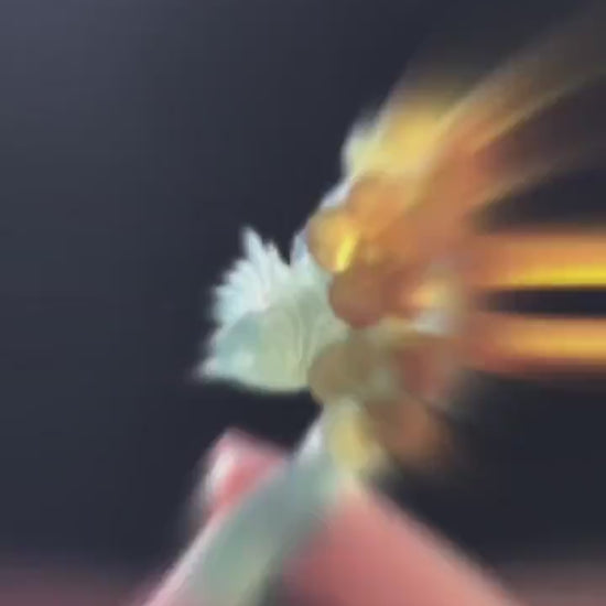 Certified Xiu Jade Serpentine Hand Carved Bird & Plum Blossom Flower Hair Pin