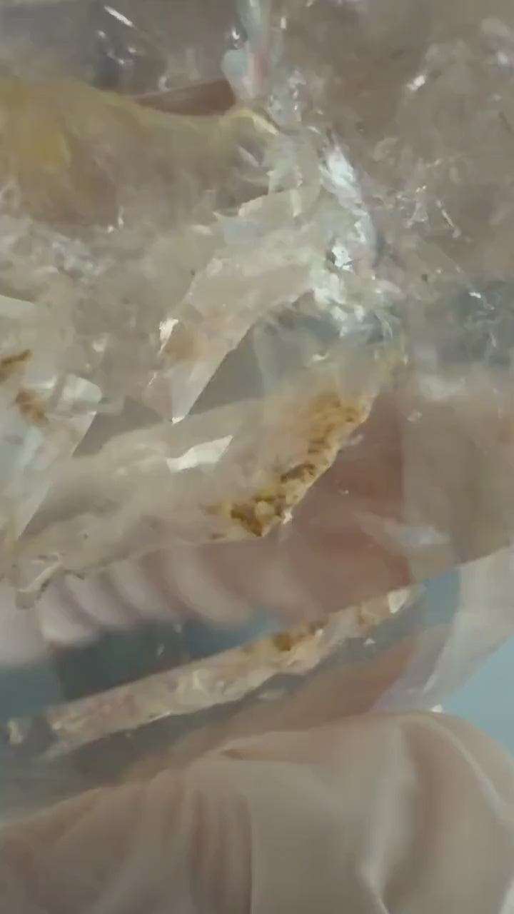 Ultra Rare! Enhydro Quartz Palm Stone: UV-reactive Yellow White Sand Waterfall Big Moving Bubbles Inclusion Golden Healer Polished Crystal